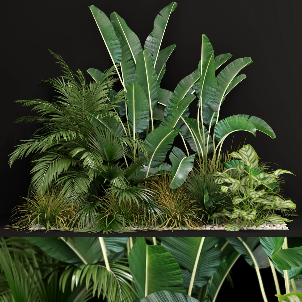 Plants collection 237 3D Model .c4d .max .obj .3ds .fbx .stl .blend