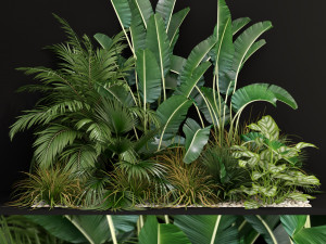 Plants collection 237 3D Model