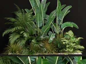 Коллекция растений 237 3D Модель