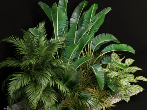 Plants collection 237 3D Model