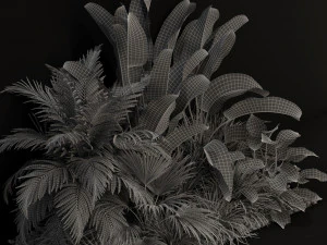Plants collection 237 3D Model