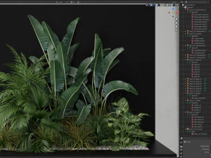 Plants collection 237 3D Model
