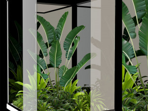 Plants collection 238 3D Model