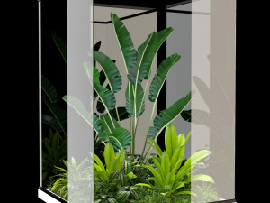 Plants collection 238 3D 모델