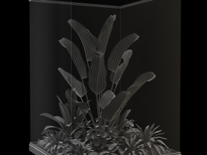 Plants collection 238 3D 모델