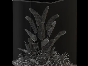 Plants collection 238 3D Model