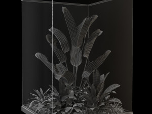 Plants collection 238 3D 모델