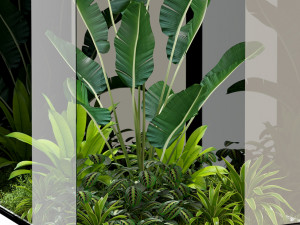 Plants collection 238 3D 모델