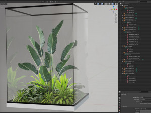 Plants collection 238 3D 모델