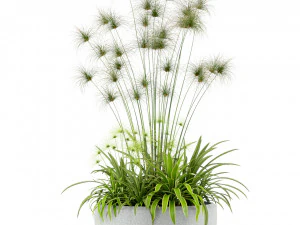 Plants collection 239 3D Model