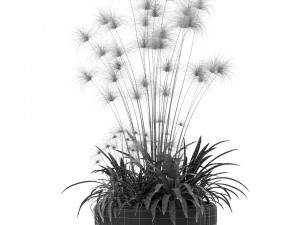 Plants collection 239 3D 모델