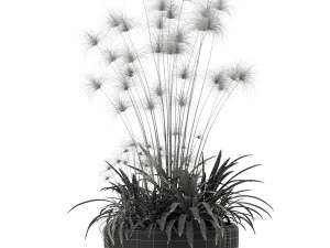 Plants collection 239 3D Model