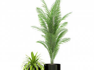 Plants collection 240 3D Model