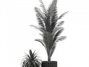 Plants collection 240 3D Model