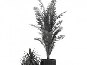 Plants collection 240 3D Model