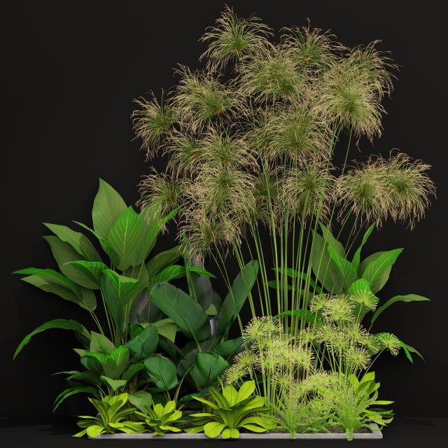 Plants collection 241 3Dモデル .c4d .max .obj .3ds .fbx .stl .blend 