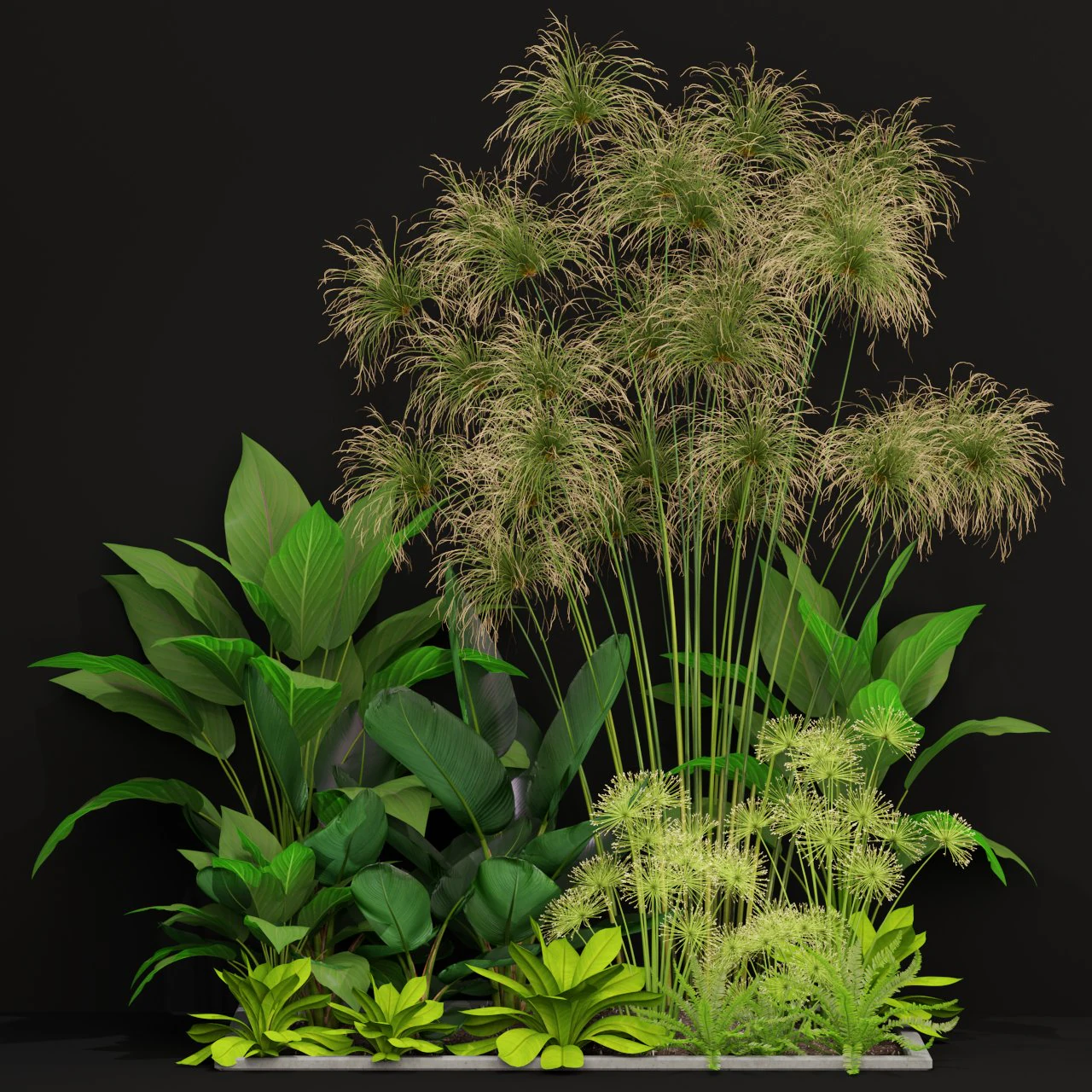 Plants collection 241 3D Model .c4d .max .obj .3ds .fbx .stl .blend