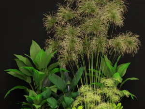 Plantencollectie 241 3D Model