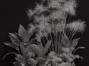 Plants collection 241 3Dモデル