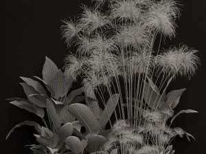Plants collection 241 3D Model