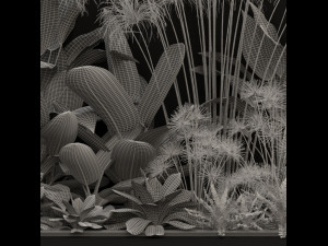 Plants collection 241 3Dモデル