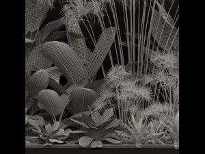 Plants collection 241 3D Model