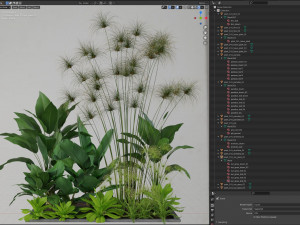 Plants collection 241 3Dモデル