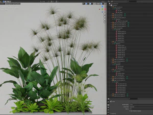 Plants collection 241 3D Model