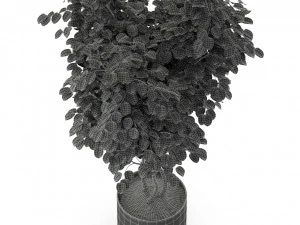 Plants collection 244 3D Model