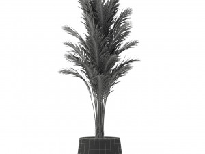 Plants collection 247 3D Model
