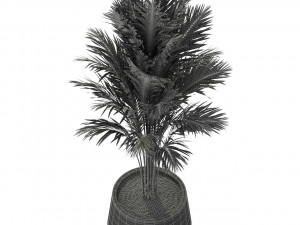 Plants collection 247 3D Model