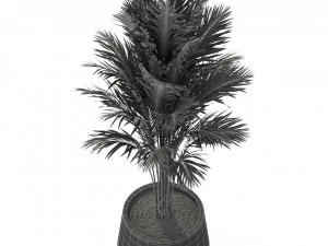 Collezione piante 247 Modello 3D