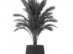 Plants collection 248 3D 모델