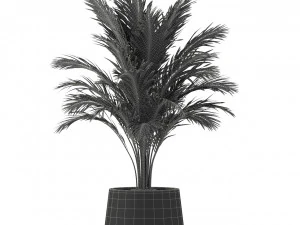 Plantencollectie 248 3D Model