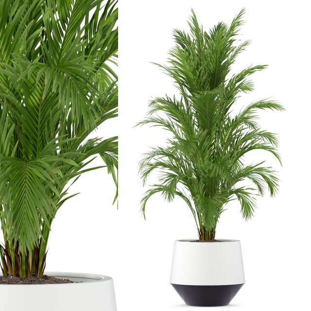 Plants collection 249 3D Model .c4d .max .obj .3ds .fbx .stl .blend 