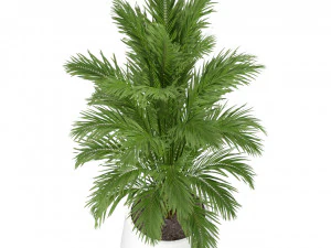 Cole&ccedil;&atilde;o de plantas 249 Modelo 3D