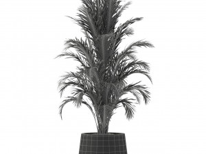 Plants collection 249 3D Model