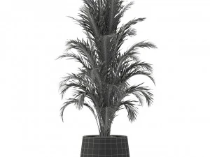 Cole&ccedil;&atilde;o de plantas 249 Modelo 3D