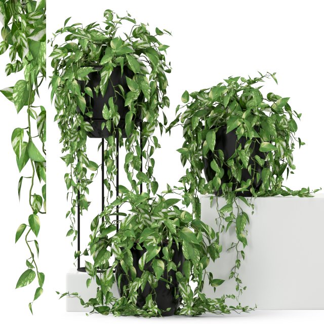 Plants collection 250 Modèle 3D .c4d .max .obj .3ds .fbx .stl .blend 