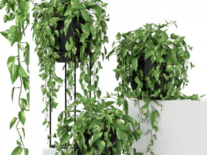 Colecci&oacute;n de plantas 250 Modelo 3D