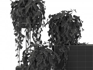 Plants collection 250 Modèle 3D