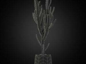 Plants collection 251 3D Model