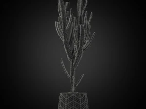 Plants collection 251 3D Model
