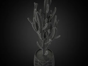 Plants collection 251 3D Model