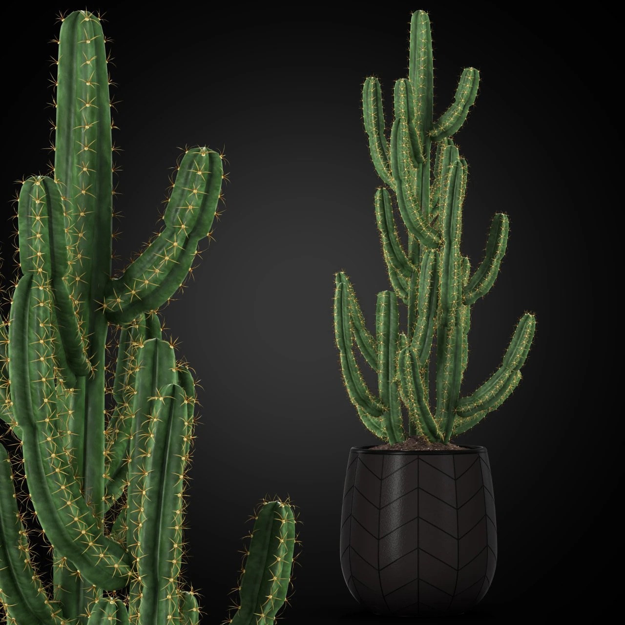 Plants collection 252 3D Model .c4d .max .obj .3ds .fbx .stl .blend 