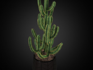 Plants collection 252 3D Модель