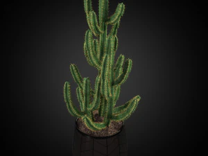 Plants collection 252 3D Model