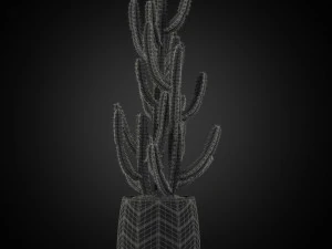Plants collection 252 3D Model