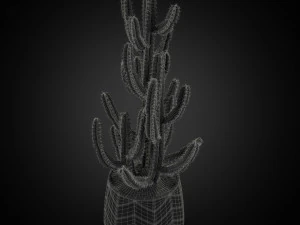 Plants collection 252 3D Model
