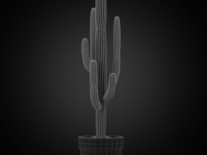 Plants collection 253 3Dモデル